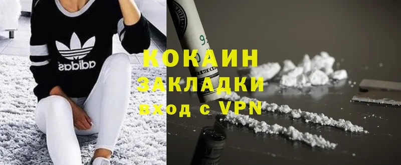 hydra как войти  Жуков  Cocaine 99%  сколько стоит 